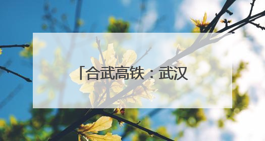 合武高铁：武汉出发1小时到合肥3小时到上海