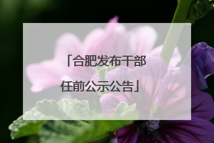 合肥发布干部任前公示公告