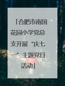 合肥市南国花园小学党总支开展“庆七一”主题党日活动