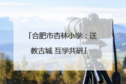 合肥市杏林小学：送教古城 互学共研