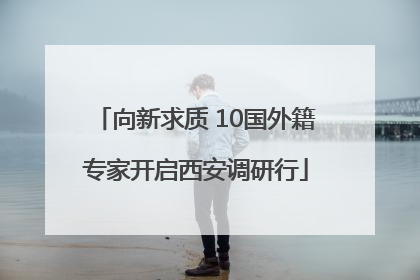 向新求质 10国外籍专家开启西安调研行