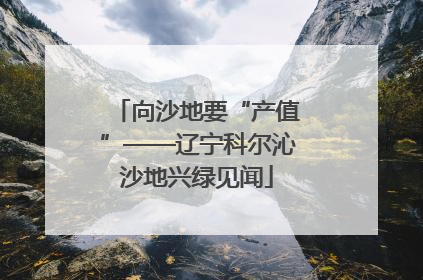 向沙地要“产值”——辽宁科尔沁沙地兴绿见闻