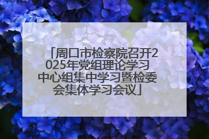 周口市检察院召开2025年党组理论学习中心组集中学习暨检委会集体学习会议