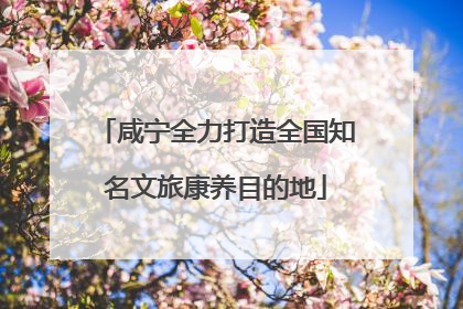 咸宁全力打造全国知名文旅康养目的地