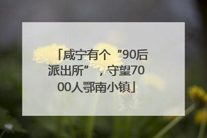 咸宁有个“90后派出所”，守望7000人鄂南小镇