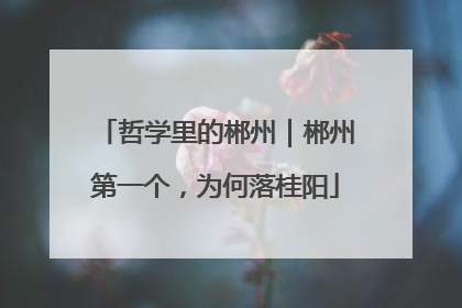 哲学里的郴州｜郴州第一个，为何落桂阳