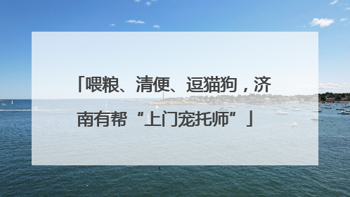 喂粮、清便、逗猫狗，济南有帮“上门宠托师”
