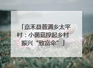 嘉禾县普满乡太平村：小菌菇撑起乡村振兴“致富伞”