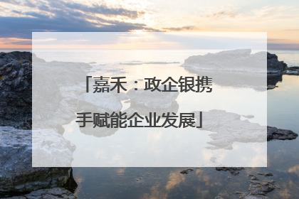 嘉禾：政企银携手赋能企业发展