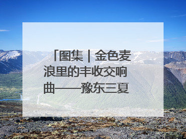 图集｜金色麦浪里的丰收交响曲——豫东三夏抢收纪实