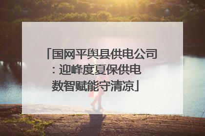 国网平舆县供电公司：迎峰度夏保供电  数智赋能守清凉