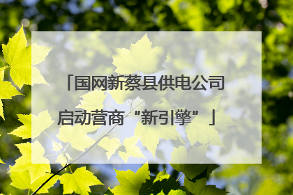国网新蔡县供电公司启动营商“新引擎”