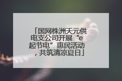 国网株洲天元供电支公司开展“e起节电”惠民活动，共筑清凉夏日