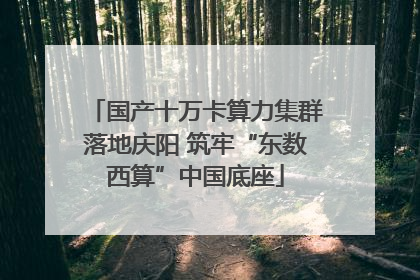 国产十万卡算力集群落地庆阳 筑牢“东数西算”中国底座