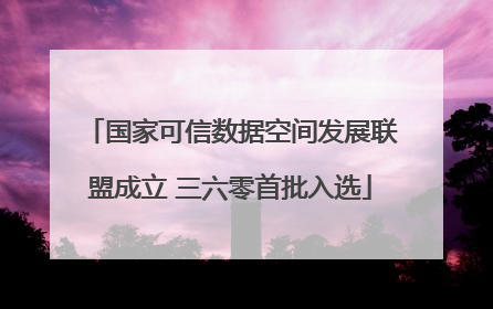 国家可信数据空间发展联盟成立 三六零首批入选
