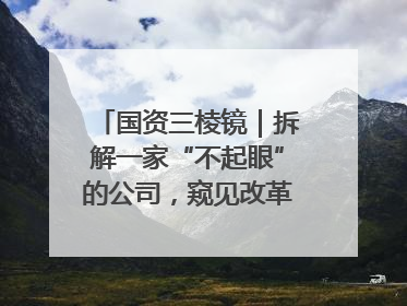 国资三棱镜｜拆解一家“不起眼”的公司，窥见改革中的山东国企