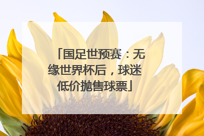 国足世预赛：无缘世界杯后，球迷低价抛售球票