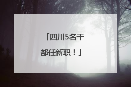 四川5名干部任新职！