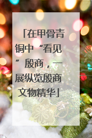 在甲骨青铜中“看见”殷商，一展纵览殷商文物精华