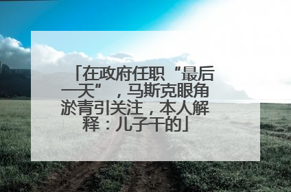 在政府任职“最后一天”，马斯克眼角淤青引关注，本人解释：儿子干的