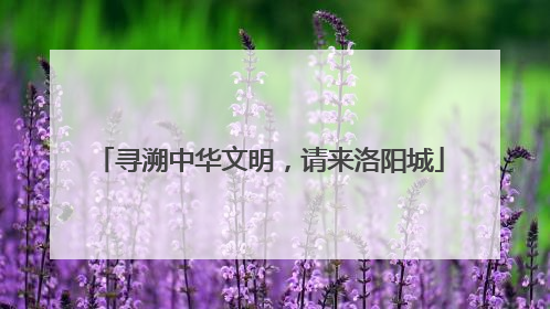 寻溯中华文明，请来洛阳城