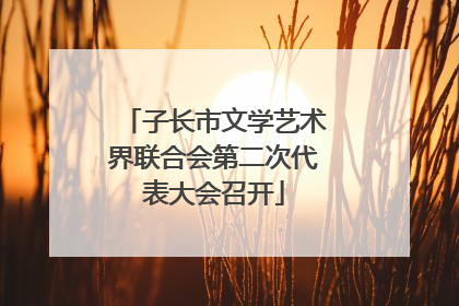 子长市文学艺术界联合会第二次代表大会召开