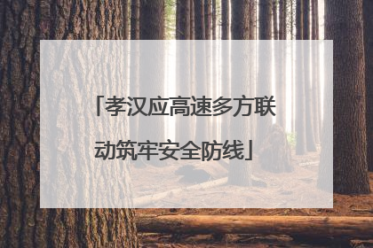 孝汉应高速多方联动筑牢安全防线