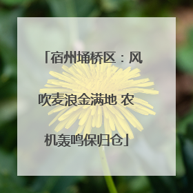 宿州埇桥区：风吹麦浪金满地 农机轰鸣保归仓