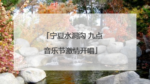 宁夏水洞沟 九点音乐节激情开唱