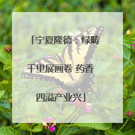 宁夏隆德：绿畴千里展画卷 药香四溢产业兴