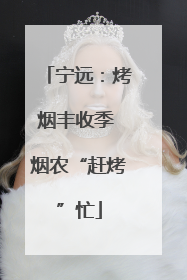 宁远：烤烟丰收季 烟农“赶烤”忙