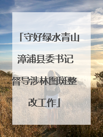 守好绿水青山 漳浦县委书记督导涉林图斑整改工作