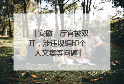 安徽一厅官被双开，涉违规编印个人文集等问题