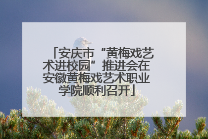 安庆市“黄梅戏艺术进校园”推进会在安徽黄梅戏艺术职业学院顺利召开