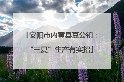 安阳市内黄县豆公镇：“三夏”生产有实招