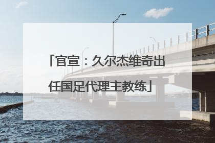 官宣：久尔杰维奇出任国足代理主教练