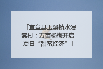 宜章县玉溪镇水浸窝村：万亩杨梅开启夏日“甜蜜经济”