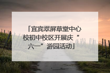 宜宾翠屏草堂中心校初中校区开展庆“六一”游园活动