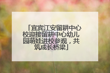 宜宾江安留耕中心校迎接留耕中心幼儿园萌娃进校参观，共筑成长桥梁