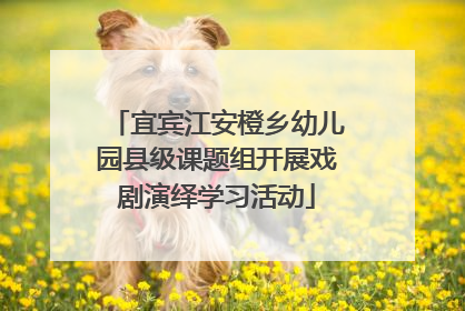 宜宾江安橙乡幼儿园县级课题组开展戏剧演绎学习活动