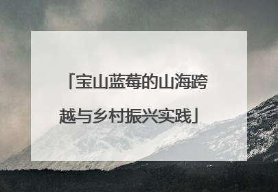 宝山蓝莓的山海跨越与乡村振兴实践