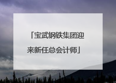 宝武钢铁集团迎来新任总会计师