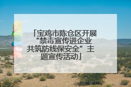 宝鸡市陈仓区开展“禁毒宣传进企业 共筑防线保安全”主题宣传活动