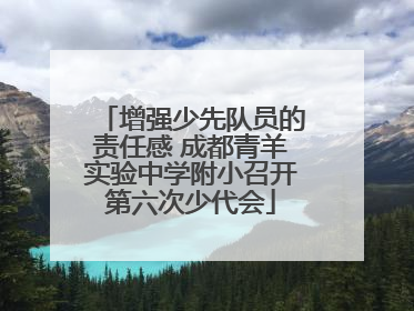 增强少先队员的责任感 成都青羊实验中学附小召开第六次少代会