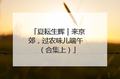 夏耘生辉｜来京郊，过农味儿端午（合集上）
