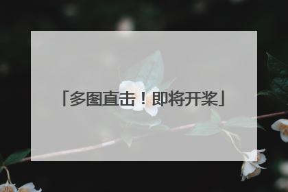多图直击！即将开桨