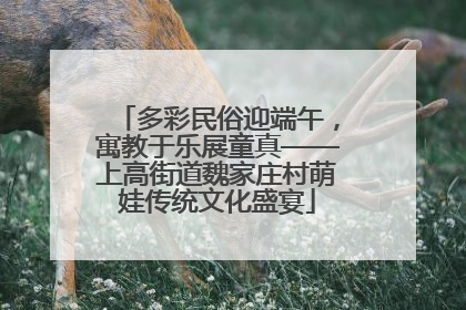 多彩民俗迎端午，寓教于乐展童真——上高街道魏家庄村萌娃传统文化盛宴