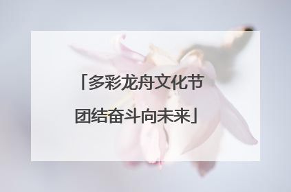 多彩龙舟文化节 团结奋斗向未来