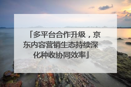 多平台合作升级，京东内容营销生态持续深化种收协同效率
