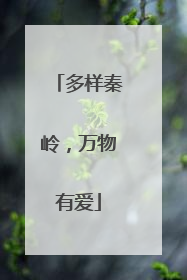 多样秦岭，万物有爱